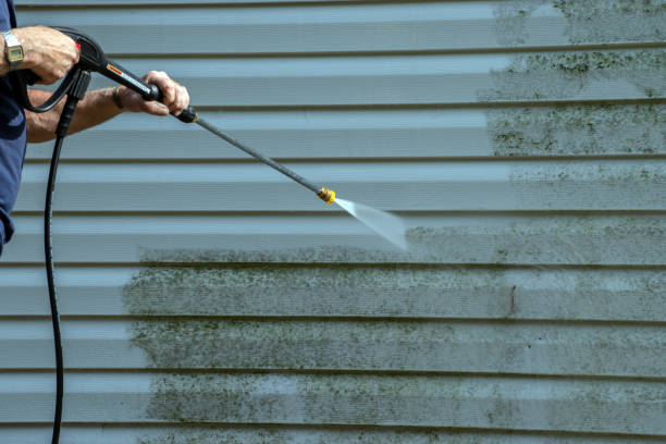 Best Exterior Home Cleaning  in Fort Defiance, AZ